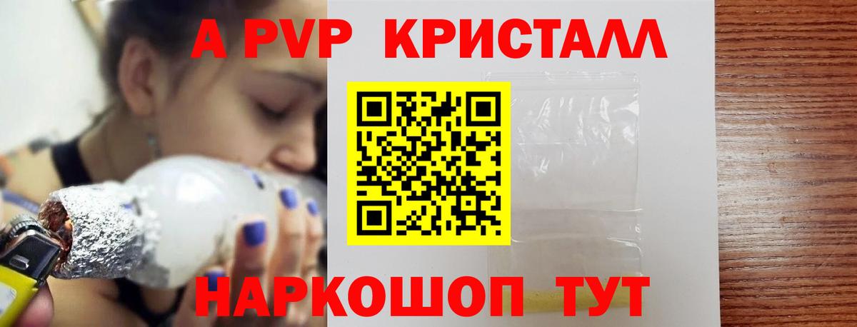 Альфа ПВП СК КРИС Избербаш