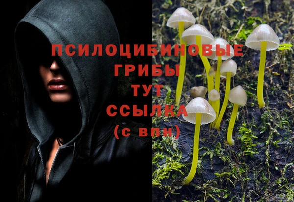 первитин Алексеевка