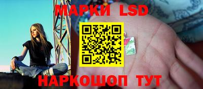 гашик Гатчина