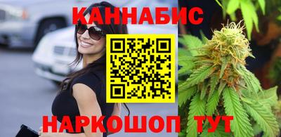 гашик Гатчина