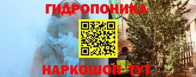 гашик Гатчина