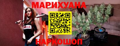 гашик Гатчина
