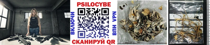 ОМГ ОМГ ссылка  Избербаш  Галлюциногенные грибы Cubensis  купить наркотики сайты 