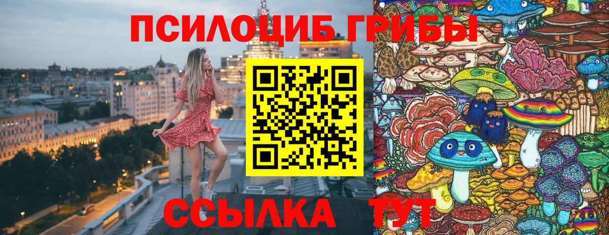 Псилоцибиновые грибы GOLDEN TEACHER Избербаш