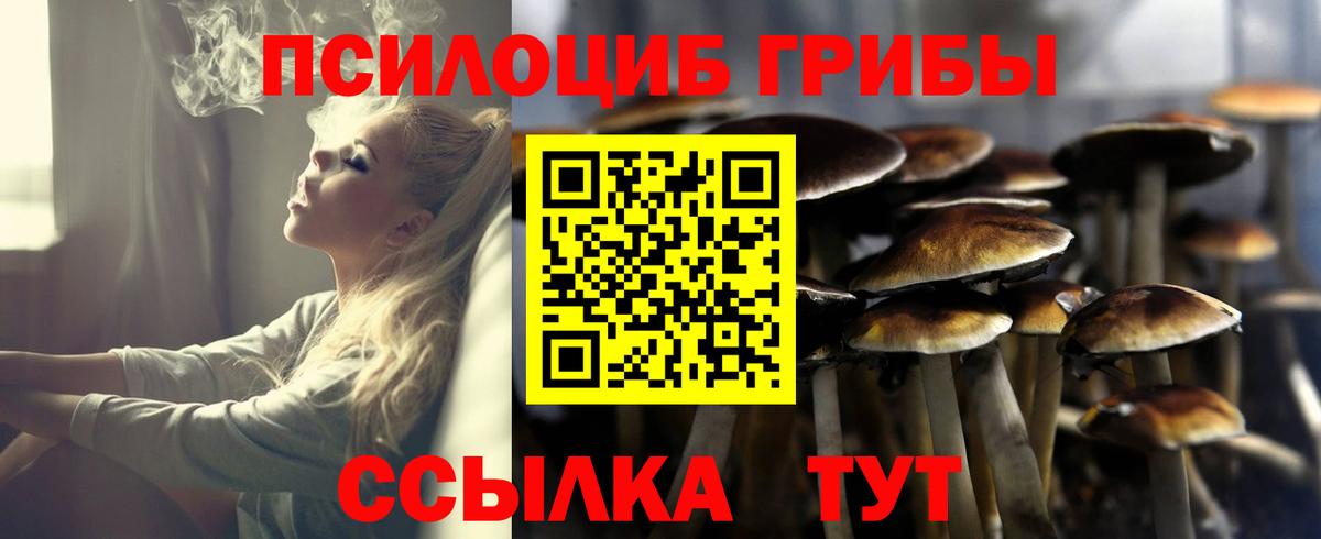 Избербаш  Псилоцибиновые грибы Cubensis  Вход с VPN  Галлюциногенные грибы прущие грибы 